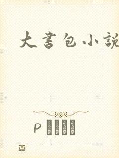 大书包小说