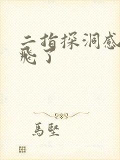 二指探洞感觉要飞了