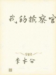 我的检察官先生