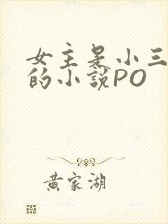 女主是小三很婊的小说PO