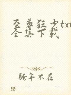 至尊狂少txt全集下载