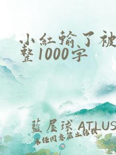 小红输了被小明整1000字