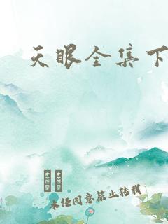 天眼全集下载