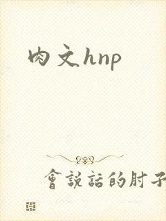 肉文hnp