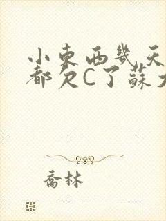 小东西几天没做都欠C了苏大深