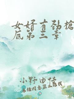 女婿有劲枪枪到底第三章