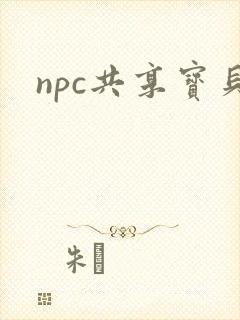 npc共享宝贝