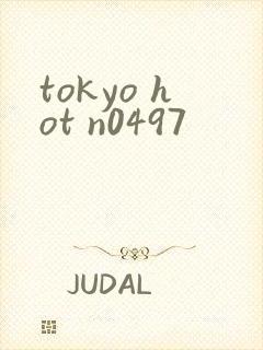 tokyo hot n0497