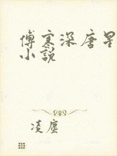 傅寒深唐星挽的小说