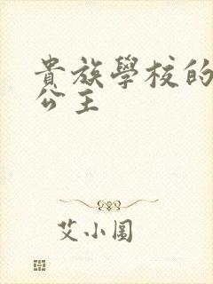 贵族学校的双面公主