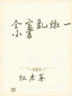 全家乱炖一锅烩小书