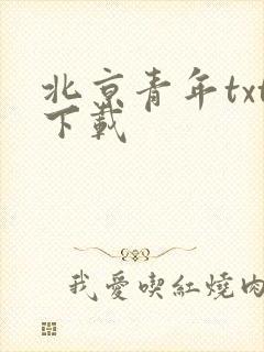 北京青年txt下载