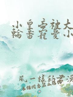 小皇帝被大臣们轮番宠爱小说