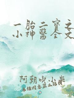 一胎二宝之弃妃小神医全文免费阅读