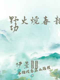 野火烧春 龙鸣功
