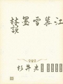 林墨雪慕江行小说