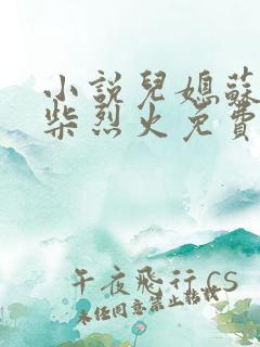 小说儿媳苏玥干柴烈火免费阅读