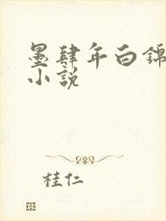 墨肆年白锦瑟 小说