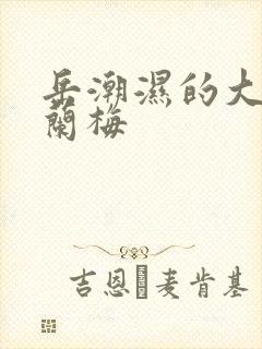 岳潮湿的大肥赵兰梅