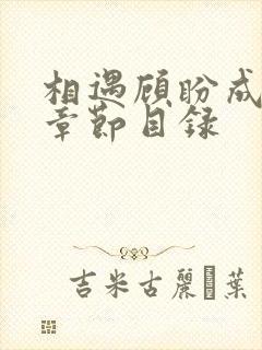 相遇顾盼成欢全章节目录