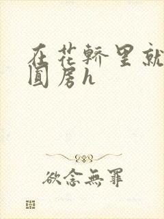 在花轿里就开始圆房h