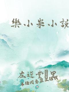 乐小米小说下载
