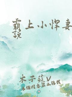 霸上小悍妻 小说