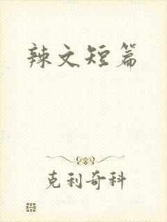 辣文短篇