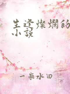 生逢灿烂的日子小说