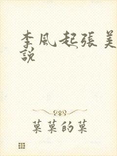 李风起张美丽小说