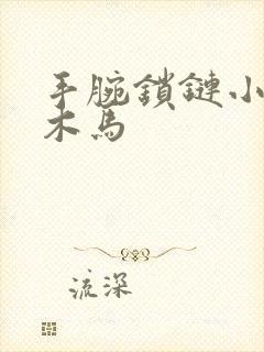 手腕锁链小黑屋木马