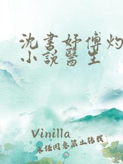 沈书妤傅灼抖音小说医生