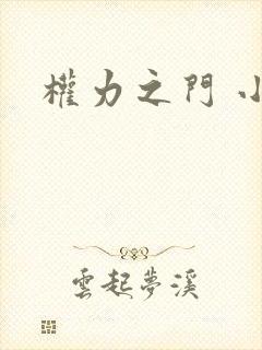 权力之门 小说