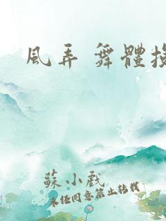 风弄 舞体投递
