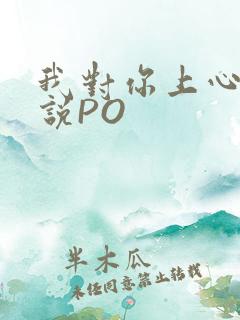 我对你上心了小说PO