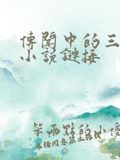 传闻中的三公主小说链接