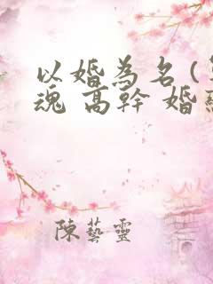 以婚为名 (军魂 高干 婚恋)