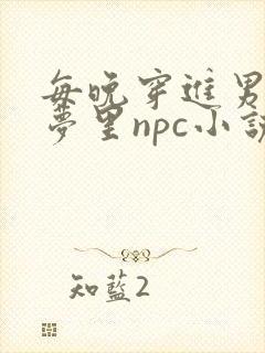 每晚穿进男神的梦里npc小说