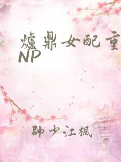 炉鼎女配重生之NP