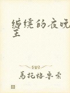缠绕的夜晚双男主