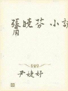 张晓芬 小说主角