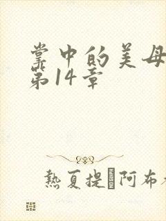 掌中的美母版主第14章