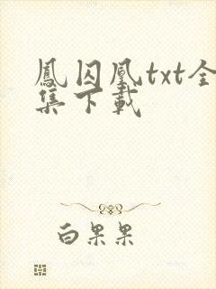 凤囚凰txt全集下载