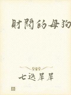 财阀的母狗们