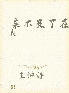 来不及了在车ch