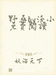 野桑by浅小说免费阅读