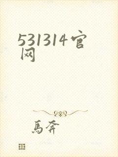 531314官网