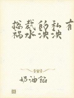 总裁的私有宝贝祸水泱泱