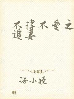 不得不爱之冷少追妻