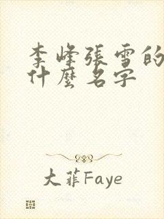 李峰张雪的书叫什么名字